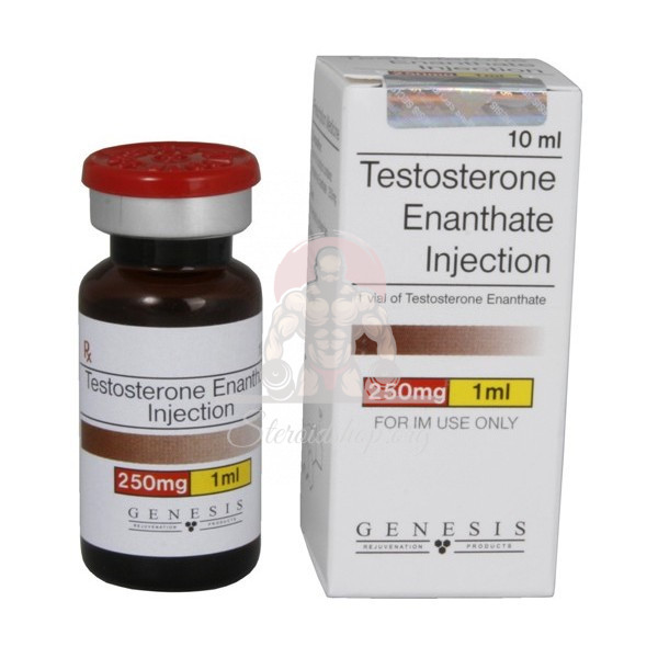 Genesis Testosteron