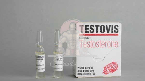 Testovis